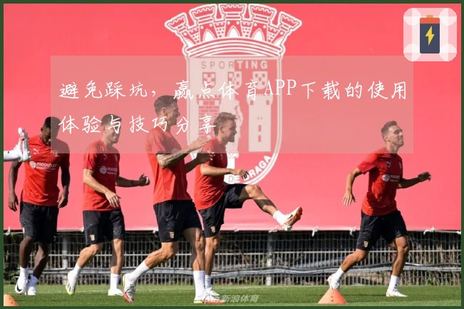 避免踩坑，赢点体育APP下载的使用体验与技巧分享
