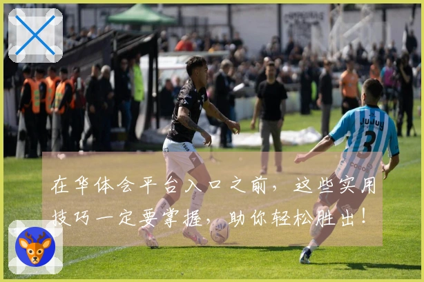 在华体会平台入口之前，这些实用技巧一定要掌握，助你轻松胜出！