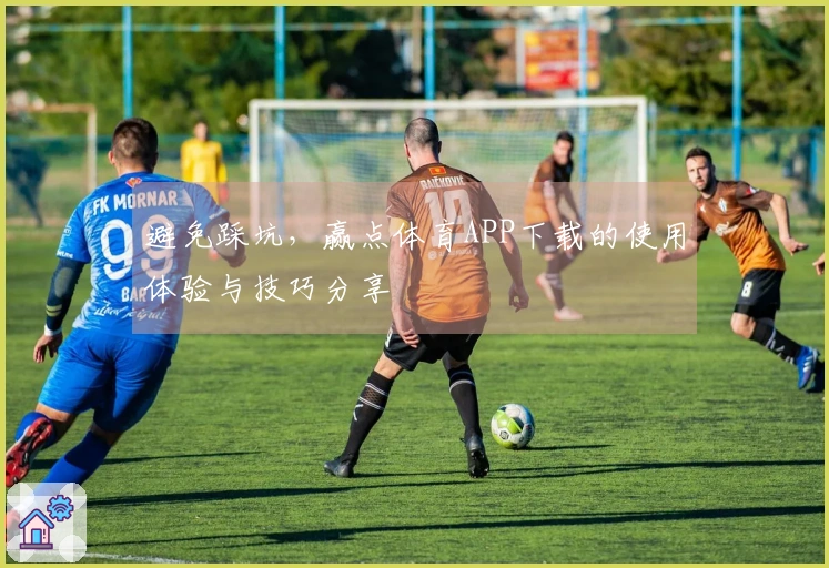 避免踩坑,赢点体育APP下载的使用体验与技巧分享